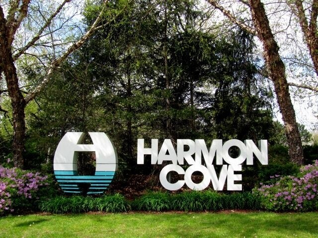 Building Photo - 572 Sanderling Ct