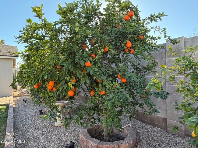 Building Photo - 4140 W Paradise Dr