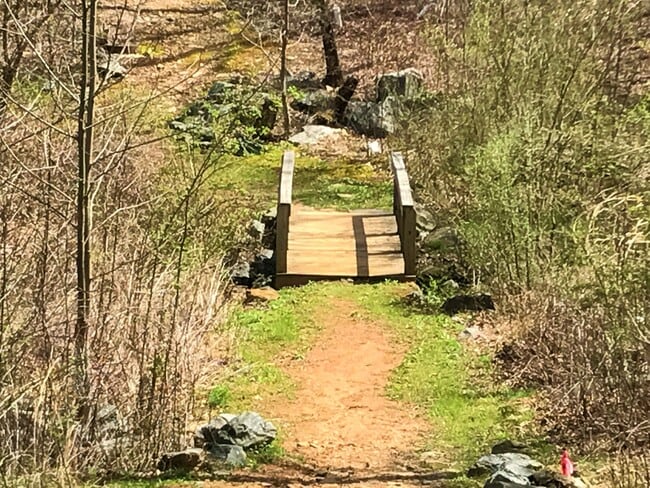 Building Photo - Great Family Home -  Fenced Backyard - Garage!