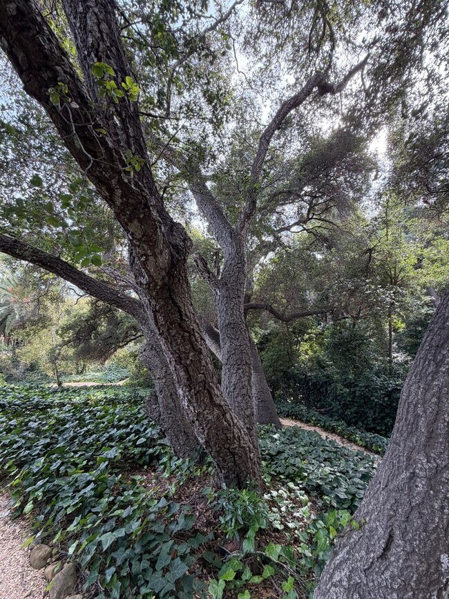 Building Photo - Leafy Montecito