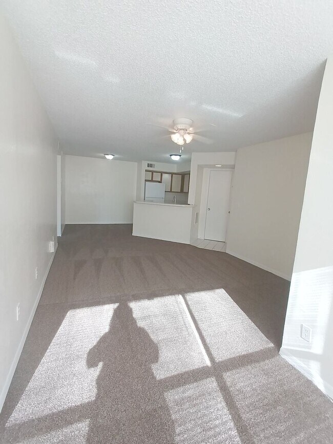 Building Photo - V1113