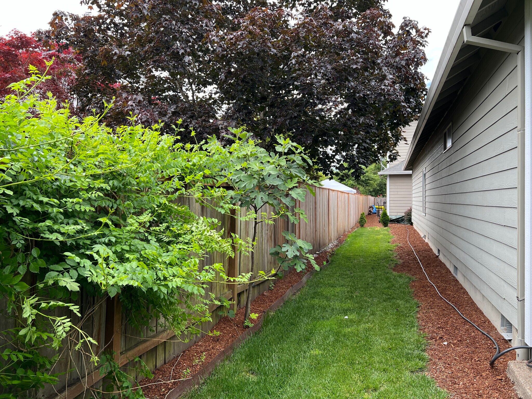 Building Photo - 2346 NE Ashton Way