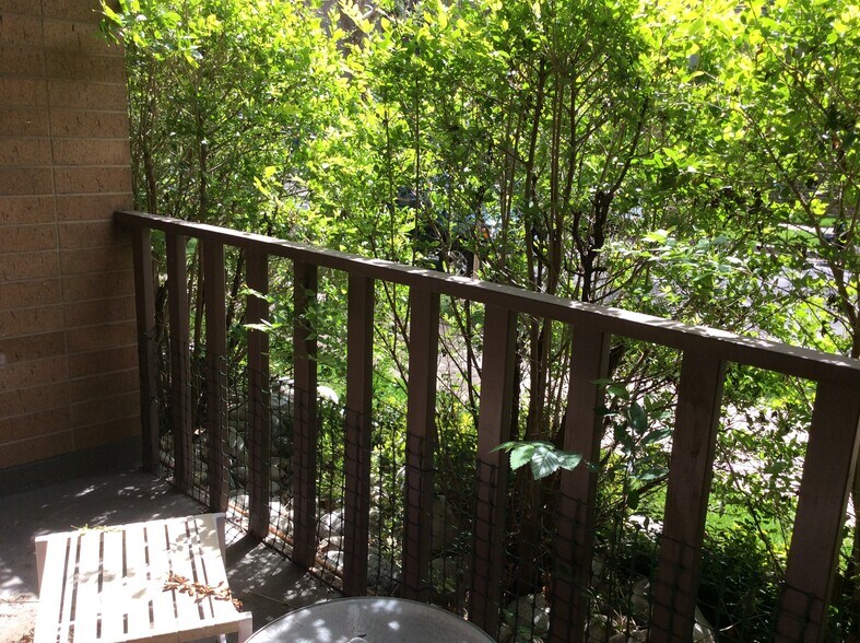 Patio - 400 S Lafayette St