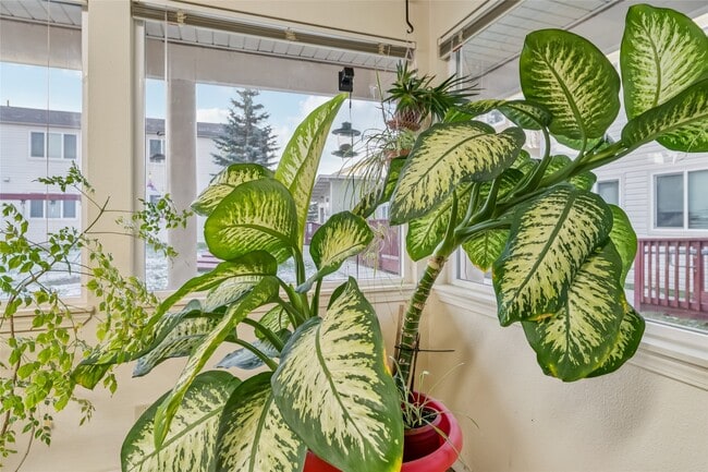 Building Photo - 424 E Dogwood Ave