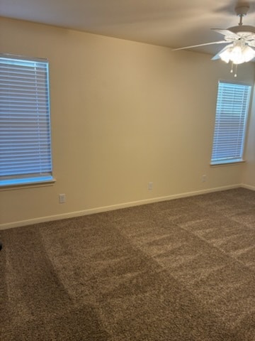 Building Photo - 2303 Bachelor Button Blvd