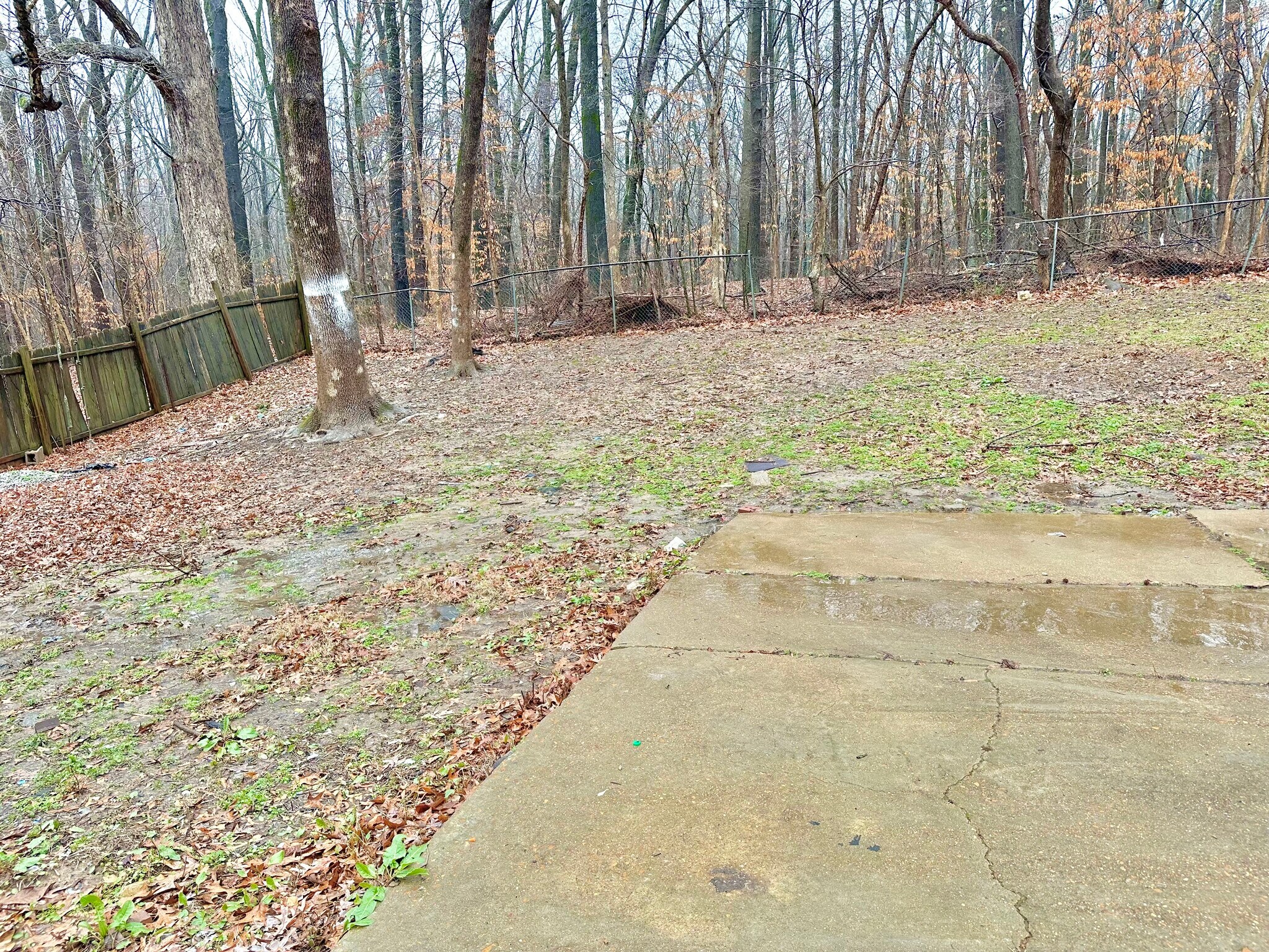 Building Photo - 3756 Vanderwood Dr