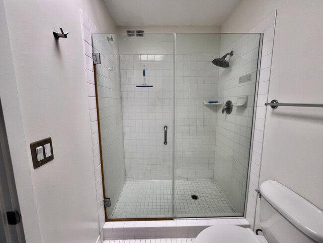 Master Bathroom Shower - 350 N 2nd St
