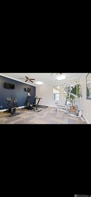 Building Photo - 943 Renova Dr