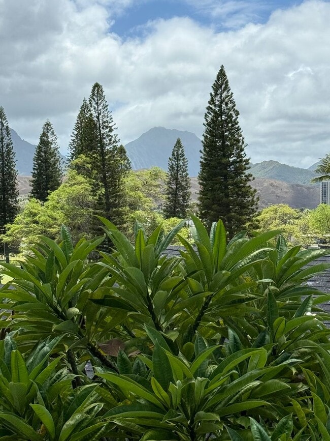 Building Photo - Quiet Neighborhood, Large 1bd/1ba, Lanikai...