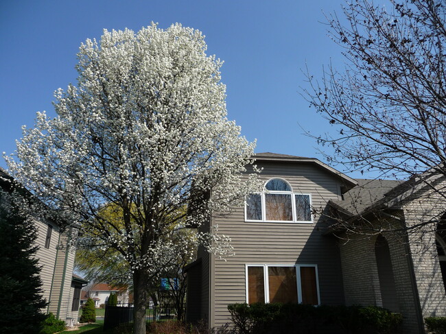 Building Photo - 2704 Cherry Hills Dr
