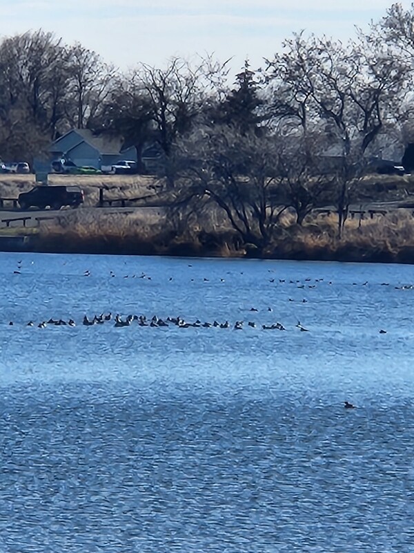 Building Photo - 710 Catskill St