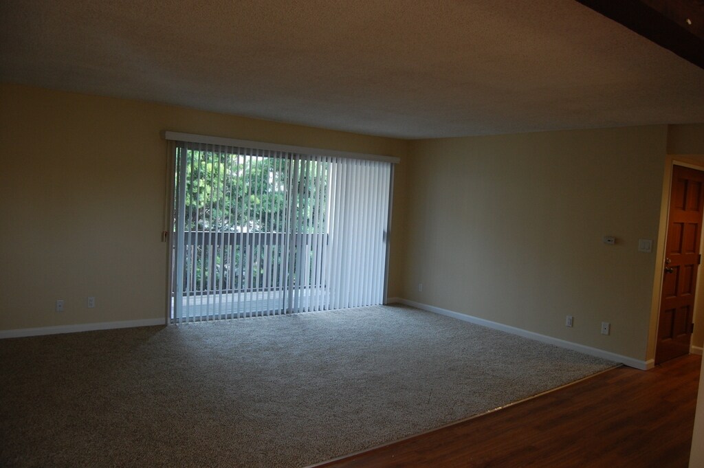 Livingroom opens to large patio - 1915 Voorhees Ave