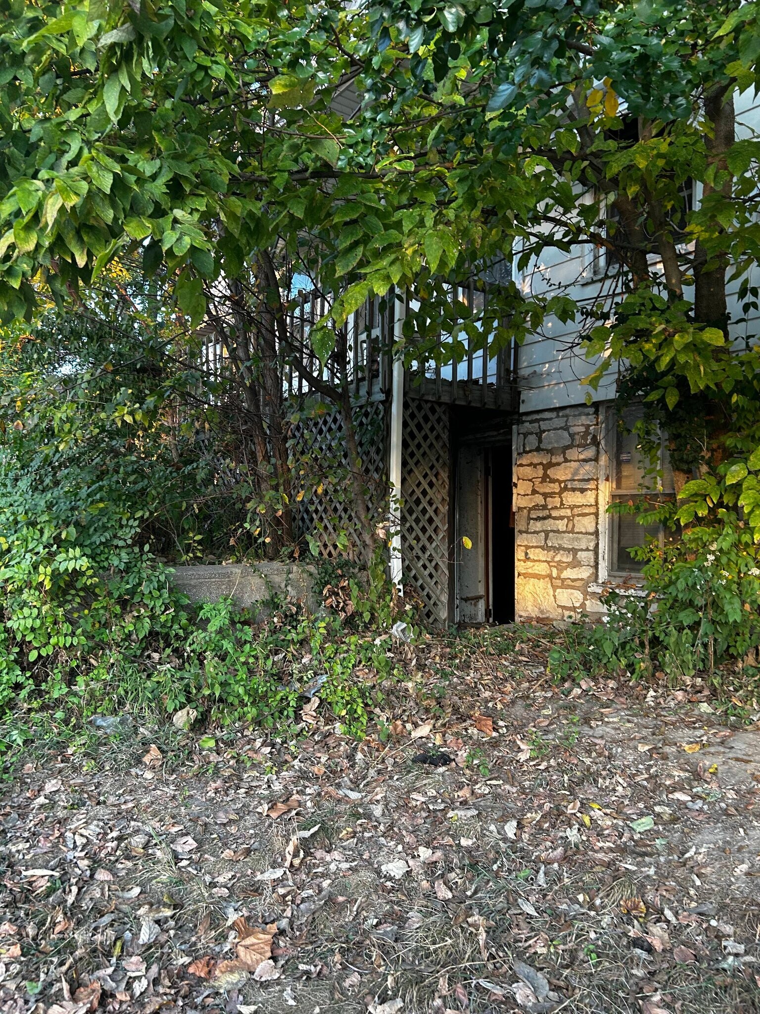 Building Photo - 517 Cherry St