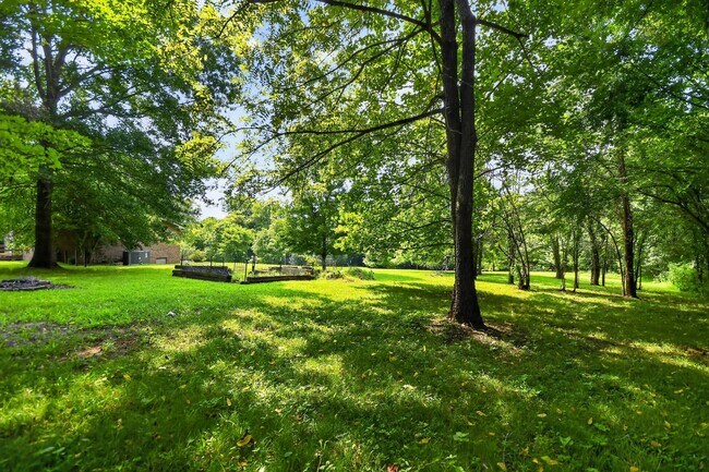 Building Photo - Pet Friendly on Three Acres!