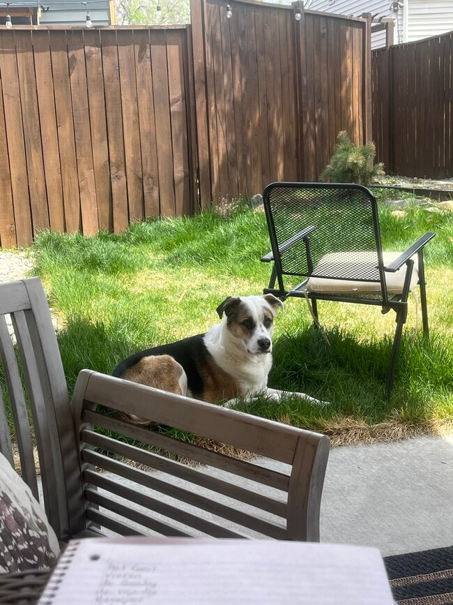 Building Photo - 2381 S Cherokee St