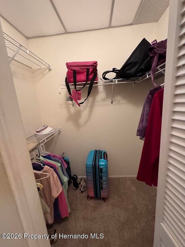 Building Photo - 2479 Hidden Trail Dr