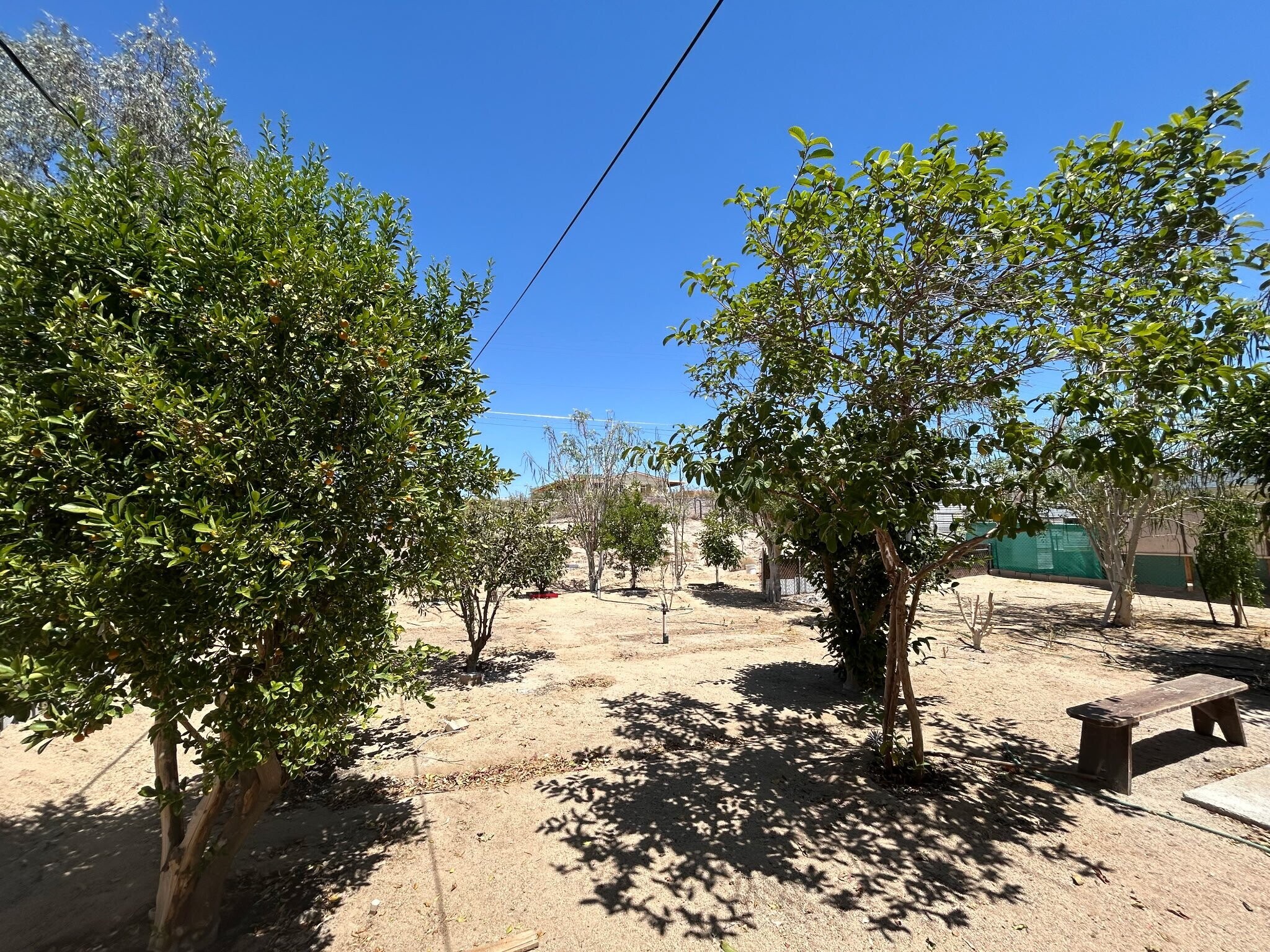 Building Photo - 71984 Sunnyslope Dr