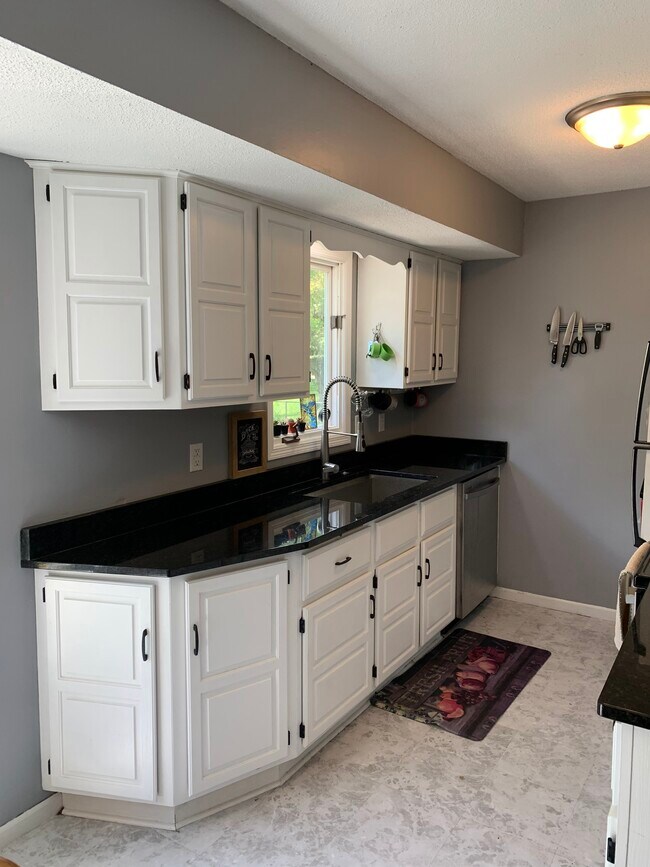 Updated kitchen with new Sink and granite countertops - 620 114th Ln NE