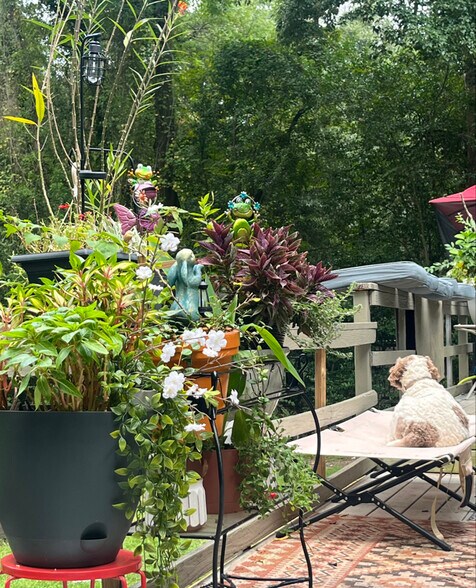 Building Photo - 315 Bomar Pl