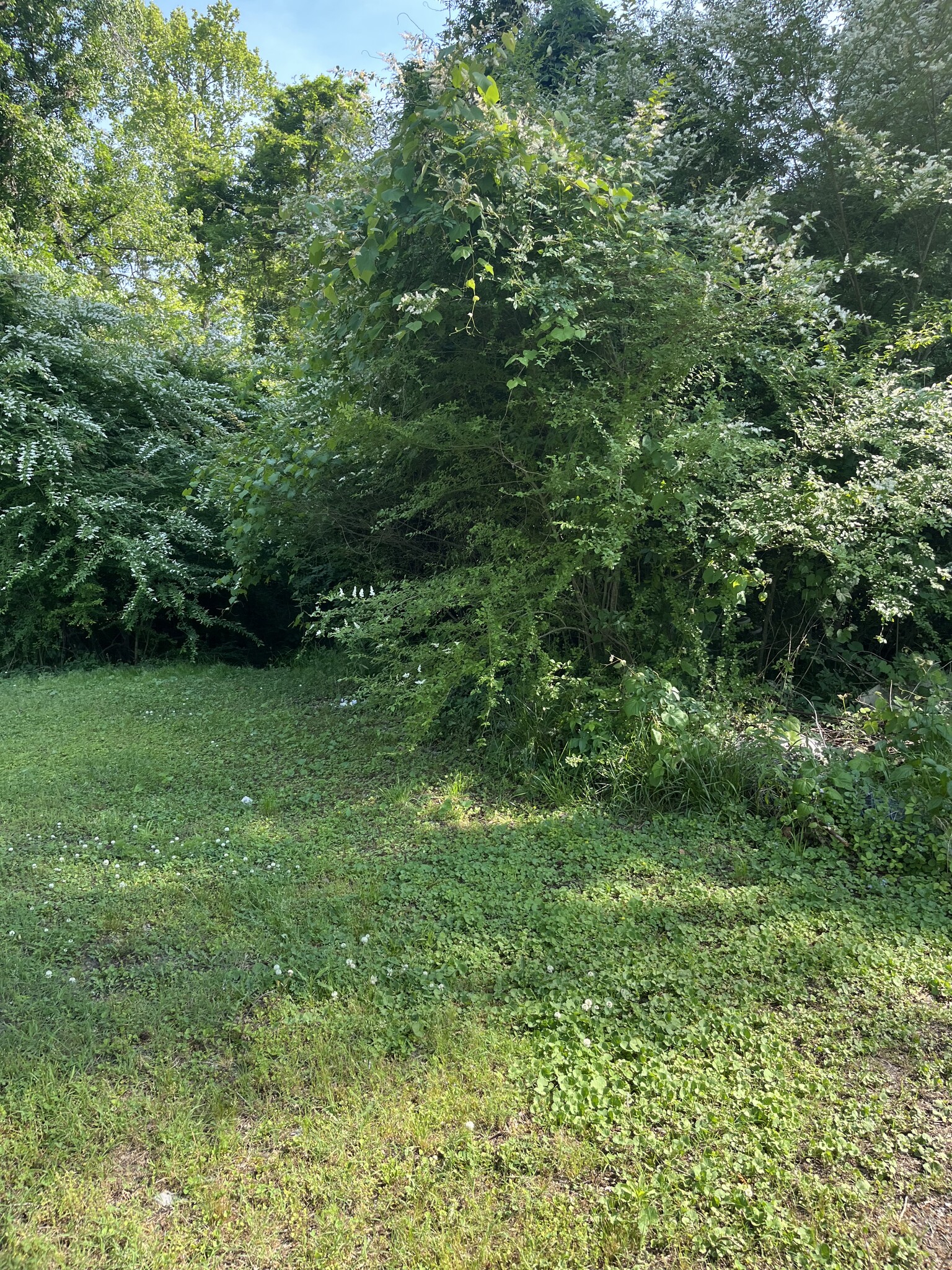 Building Photo - 509 5th Ln