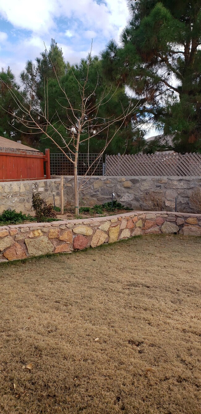 Building Photo - 11526 Tony Ponce Dr
