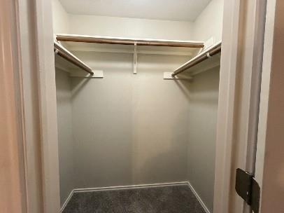 Building Photo - 1729 Constantino Cir