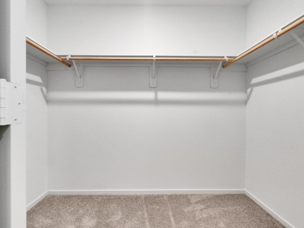 Building Photo - 21603 Willow River Canyon Ln