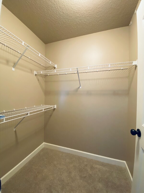 Building Photo - 938 S Mossy Rock Rd