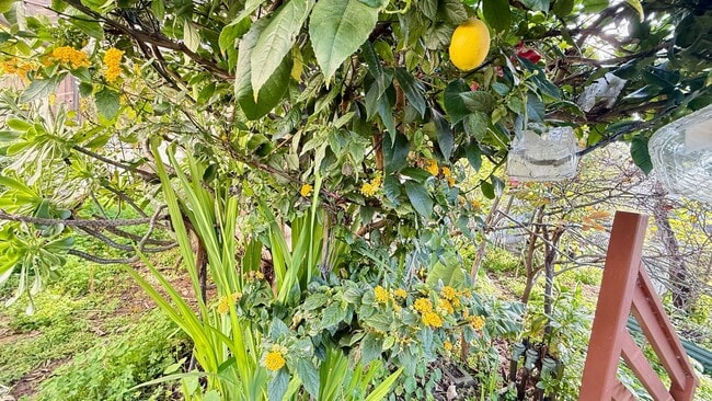 Building Photo - Charming Silver Terrace 3 Bedroom/1 BA SFH with Private Garden Oasis +Flex Bonus Room- AMSI