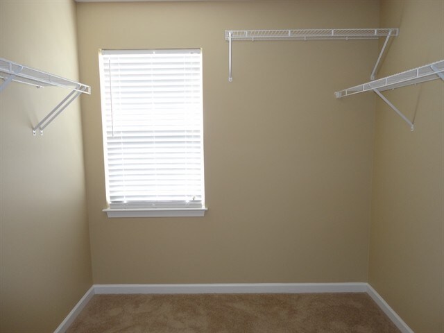 Building Photo - 5490 Appaloosa Cir