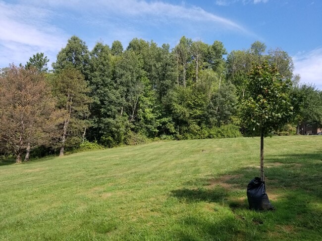 Building Photo - 2 Bedroom Condo in Chagrin Falls