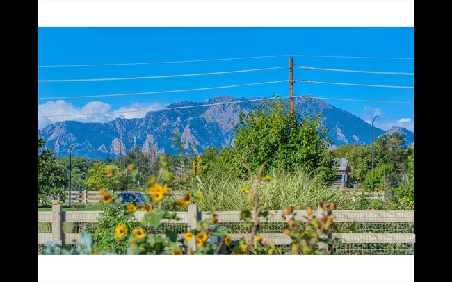Building Photo - Modern Townhouse in Can't Beat Location - Available 8/1