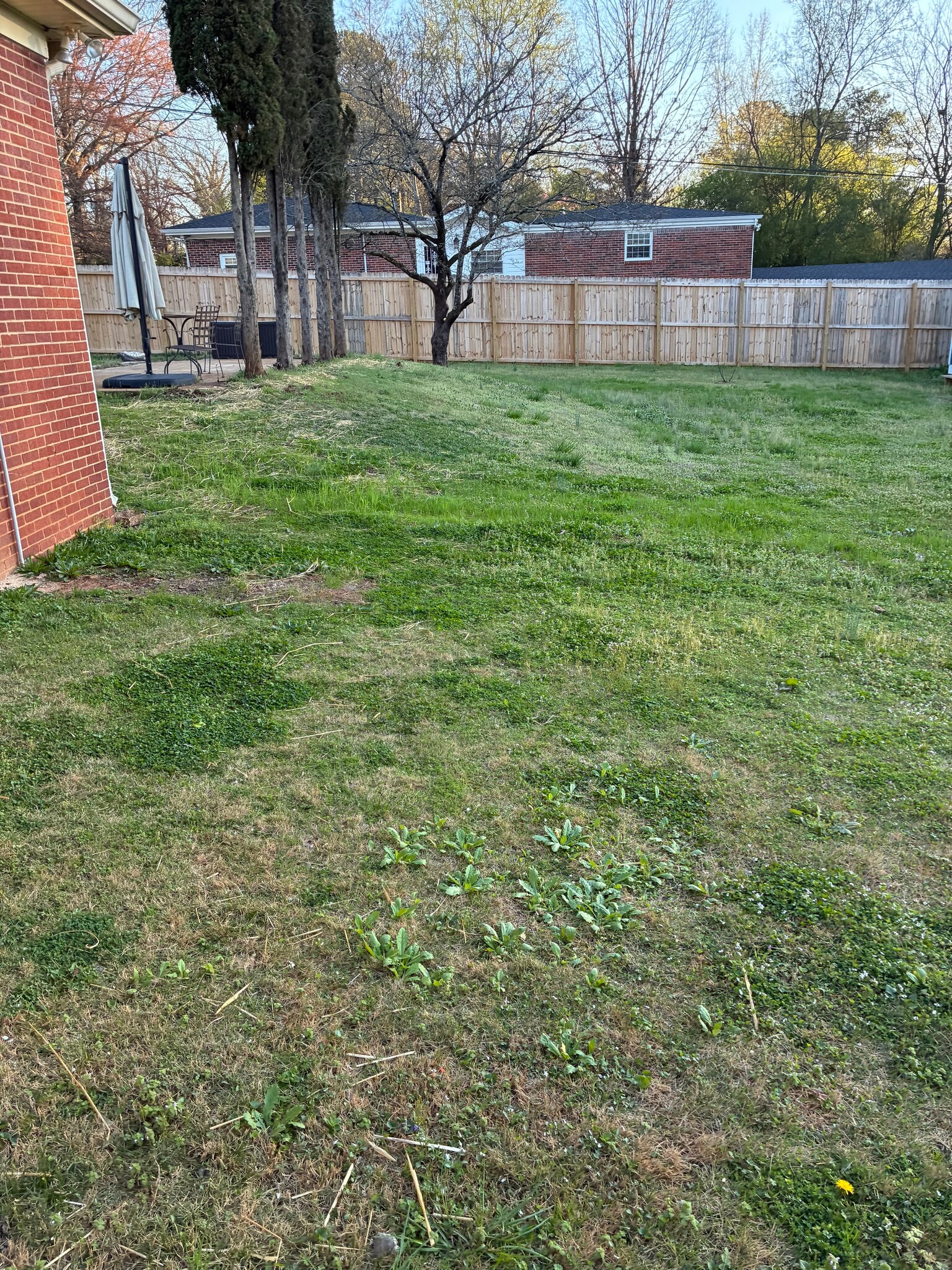 Building Photo - 6946 Hickory View Ln