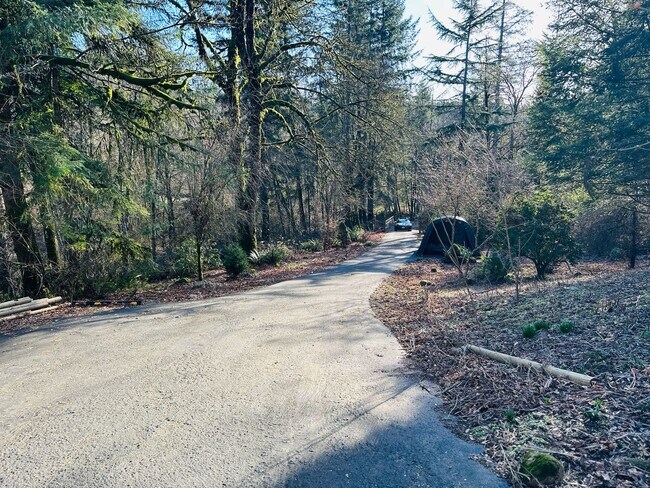 Building Photo - Charming Newly Remodeled Acreage Home