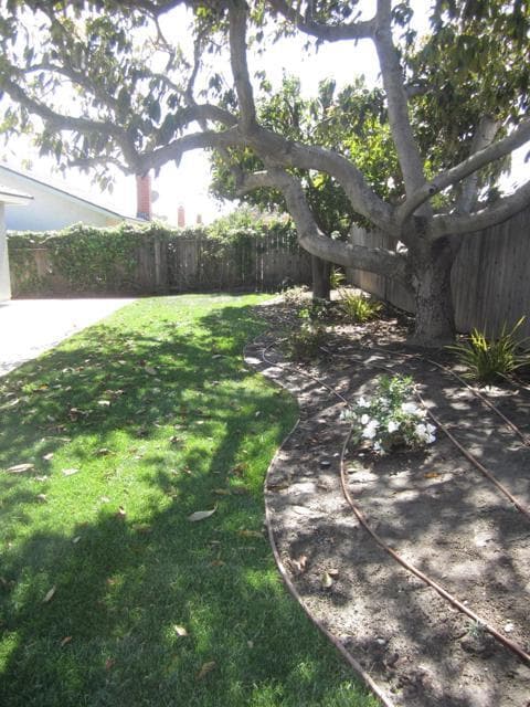 Building Photo - 57 Dana Point Ave