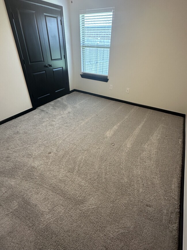 Building Photo - 2229 Roca Dr