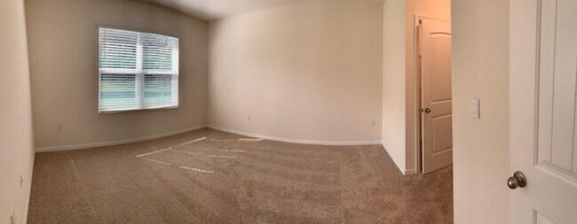 Building Photo - 20007 Royal Tern Ct