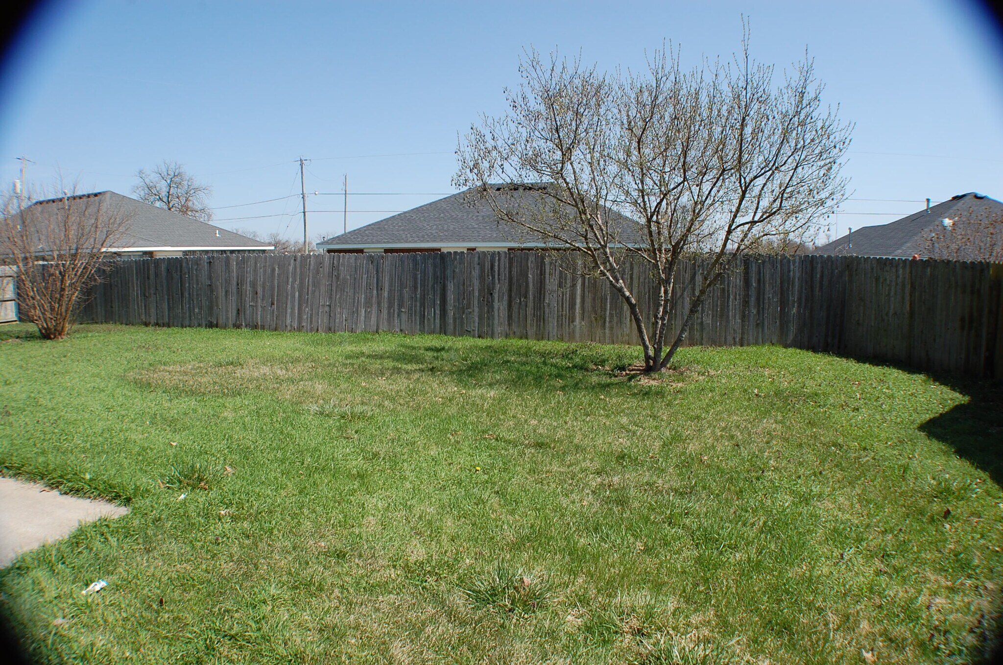 Back Yard - 600 Woods Dr