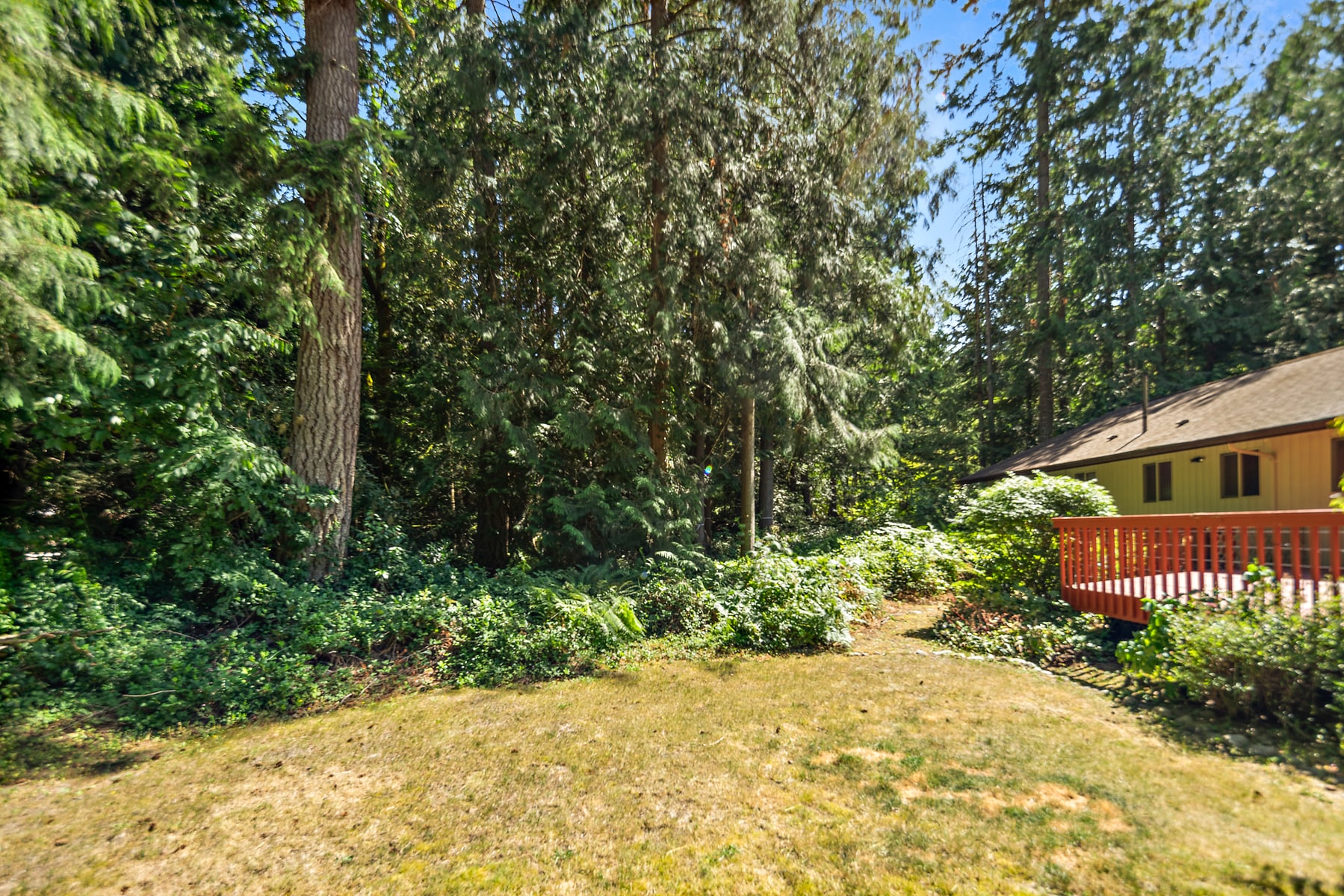 Backyard - 216 222nd Pl NE
