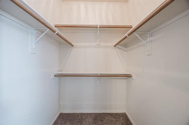 Building Photo - 103 Janis St