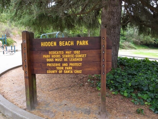 Building Photo - Stunning Tree-House Living with Beach Access - Hidden Beach Area