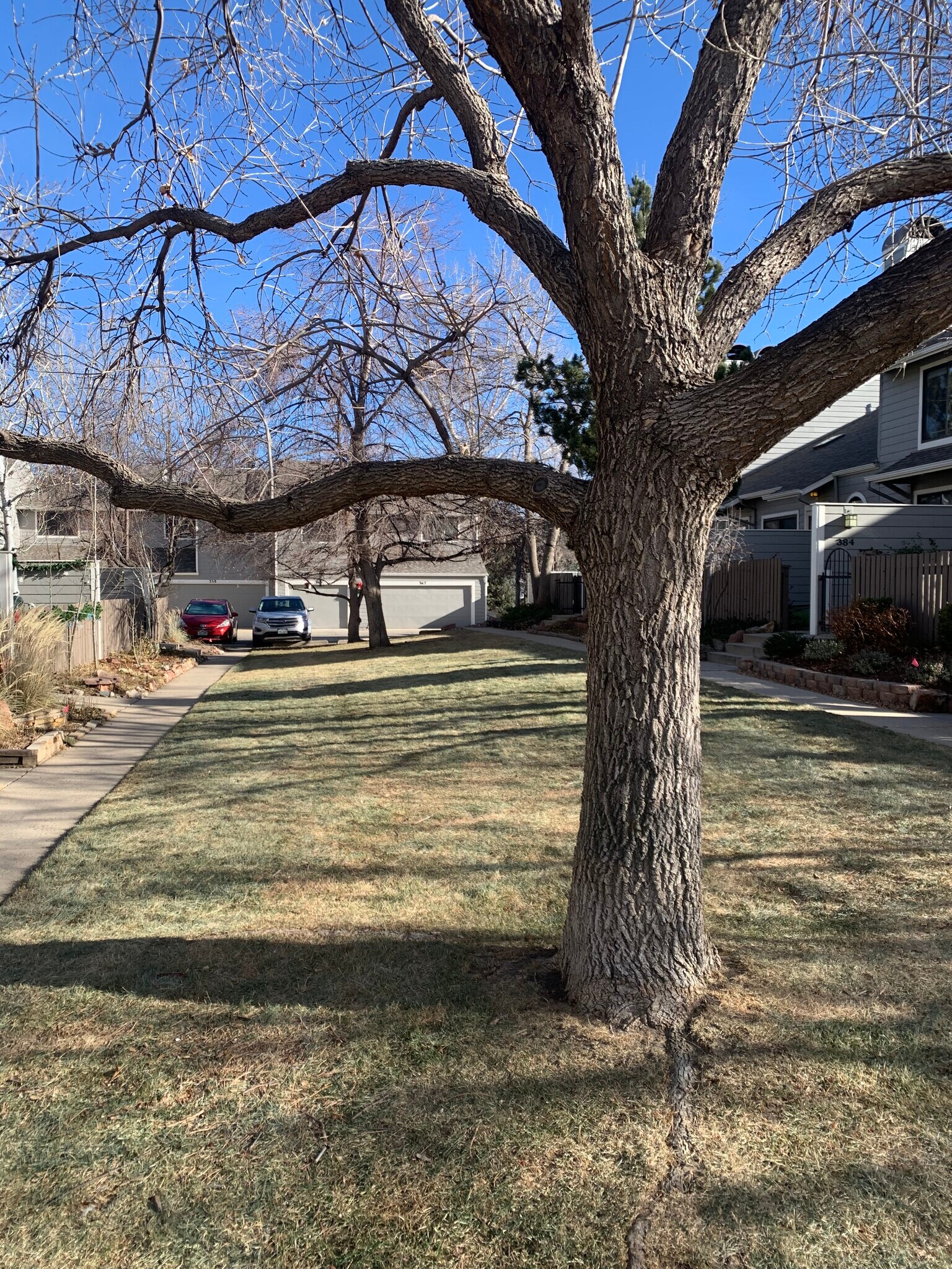 Open Space at Garage - 356 S Taft Ct