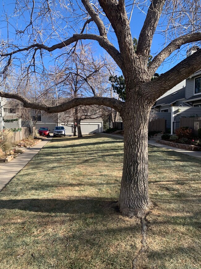 Open Space at Garage - 356 S Taft Ct