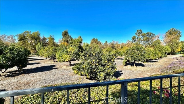 Building Photo - 25531 Orchard Rim Ln