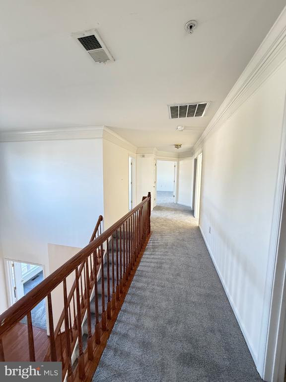 Building Photo - 1403 Northern Lights Dr