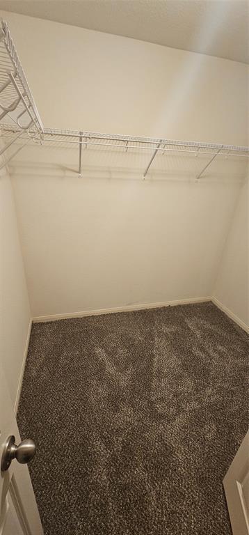 Building Photo - 5022 Beck Ln