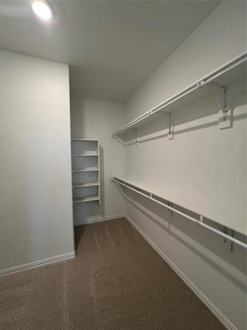 Building Photo - 3033 Burwick Ln