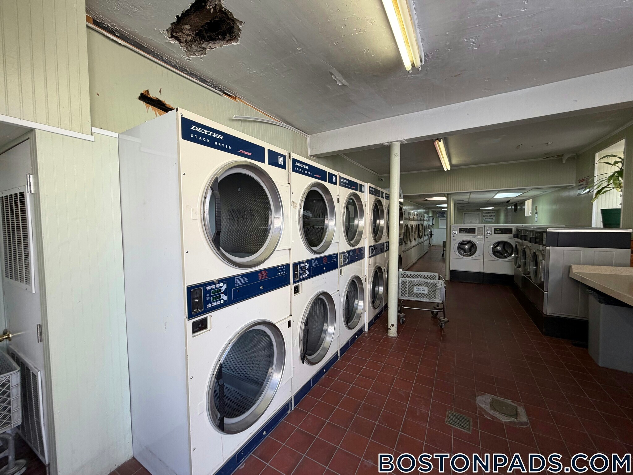 Building Photo - 229 Kelton St