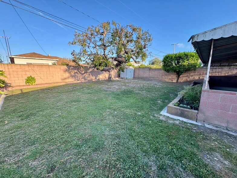 Backyard - 5516 Pepperwood Ave