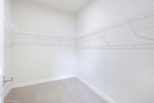 Building Photo - 81 White Pelican Ln